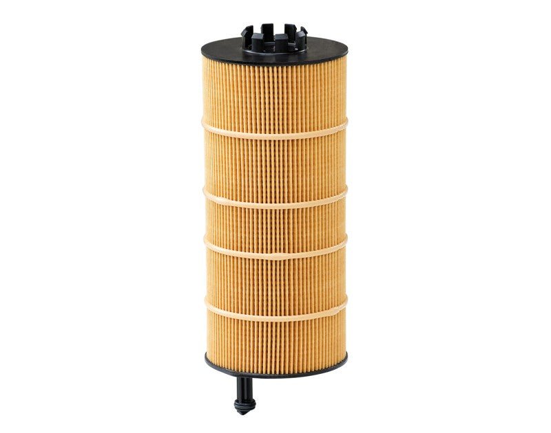 P-Oil Filter Tata safari/Sumo/207 (32)